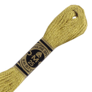 DMC 833 - Light Golden Olive
